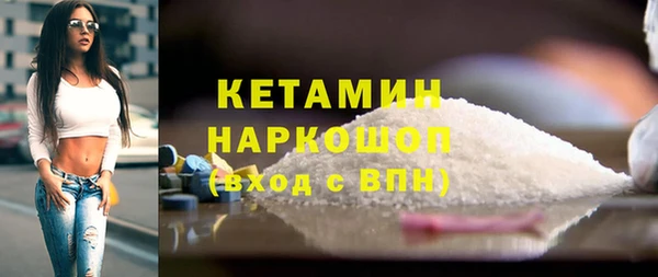 шишки Покачи