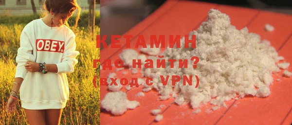 шишки Покачи