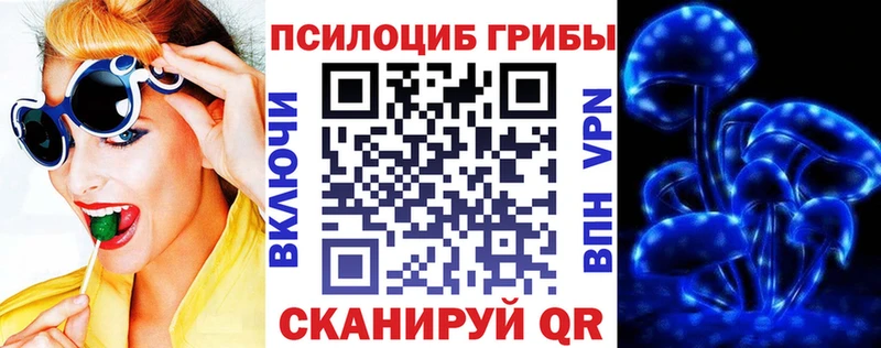 что такое   mega   Псилоцибиновые грибы Cubensis  Жердевка 